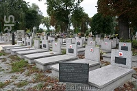 Cmentarz w Miechowie