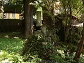 Cmentarz w Szczawnicy