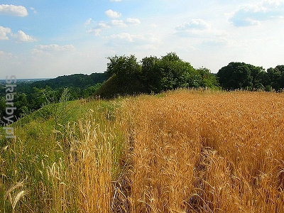 Autor 	Pit1233; dzieło w domenie publicznej