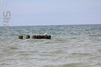 Plaża w Jarosławcu