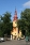 Kościół Wszystkich Świętych w Krościenku nad Dunajcem