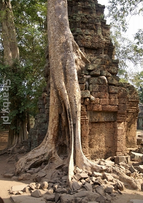 Angkor w Kambodży
