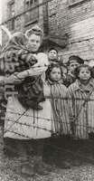 Wyzwolenie obozów zagłady Auschwitz (wywiad)