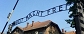 KL Auschwitz - bunt Sonderkommando