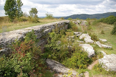 Autor 	Jakub Hałun; Wikimedia Commons; Creative Commons Uznanie autorstwa–na tych samych warunkach 3.0 niezlokalizowana, 2.5 zlokalizowana, 2.0 zlokalizowana oraz 1.0 zlokalizowana. 	
