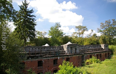 Autor 	Jakub Hałun; Wikimedia Commons;  Creative Commons Uznanie autorstwa–na tych samych warunkach 3.0 niezlokalizowana, 2.5 zlokalizowana, 2.0 zlokalizowana oraz 1.0 zlokalizowana.