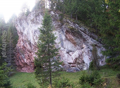 Rezerwat przyrody Zaskalskie-Bodnarówka