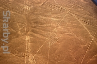 Płaskowyż Nazca