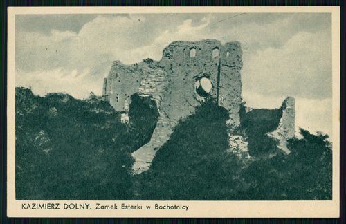 Zamek w Bochotnicy