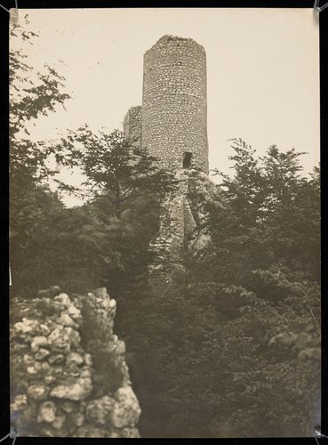 Zamek w Smoleniu - Jura Krakowsko-Częstochowska